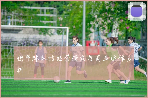 德甲球队的经营模式与商业运作分析