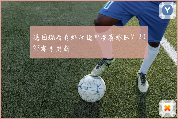 德国现存有哪些德甲参赛球队？2025赛季更新