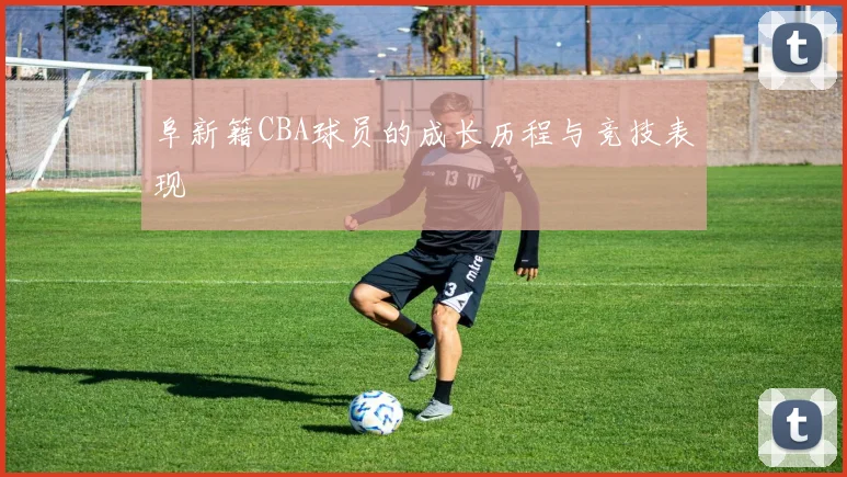 阜新籍CBA球员的成长历程与竞技表现