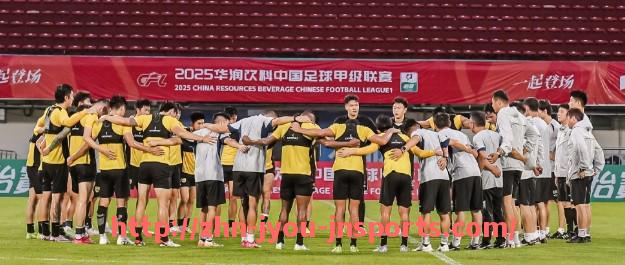 jiuyou九游娱乐-法甲战术体系的历史演进及现代应用案例